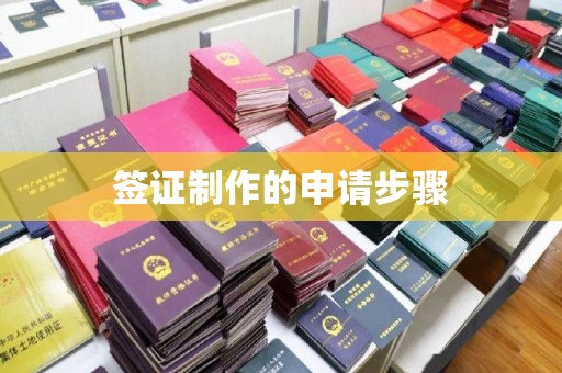 潜山签证制作的申请步骤