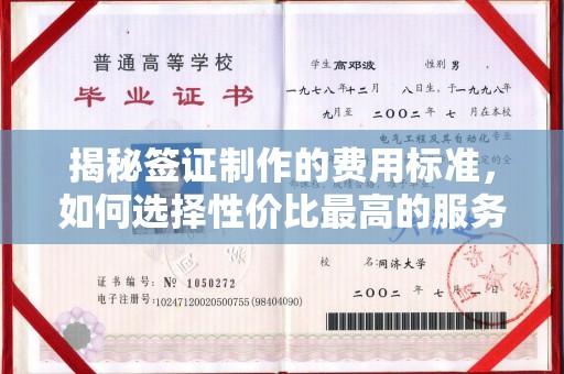 潜山揭秘签证制作的费用标准，如何选择性价比最高的服务？